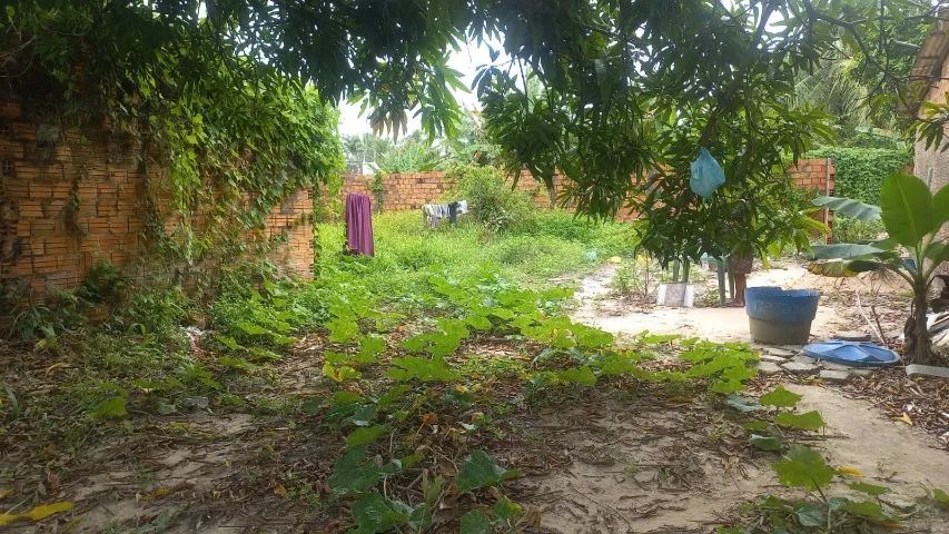 Vendo terreno na Raposa/Araçagi 450 M2 - Foto 2