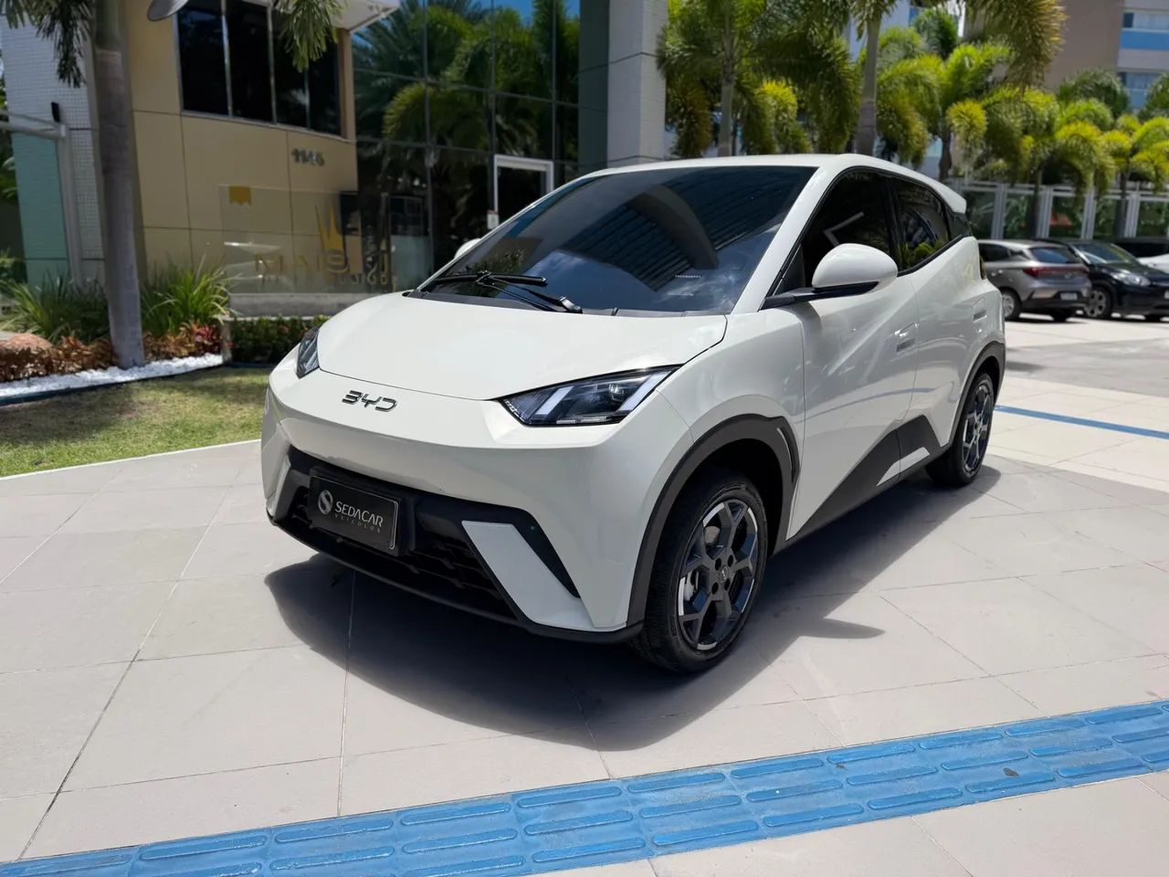 BYD Dolphin Mini GL 2027 - Foto 3
