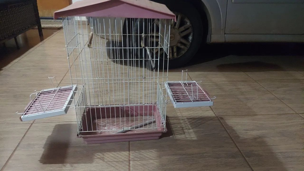 Gaiola Pássaros  - Foto 4