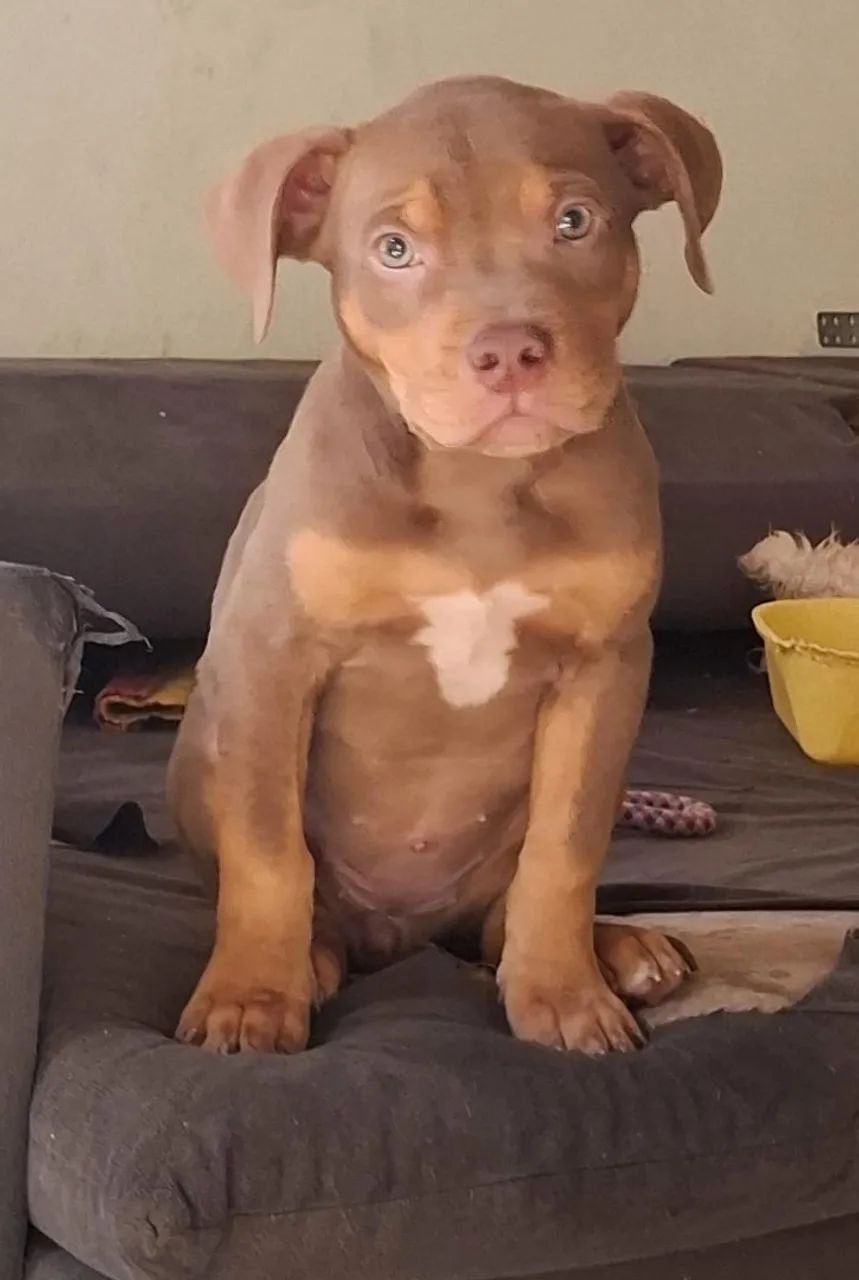 Pit monster