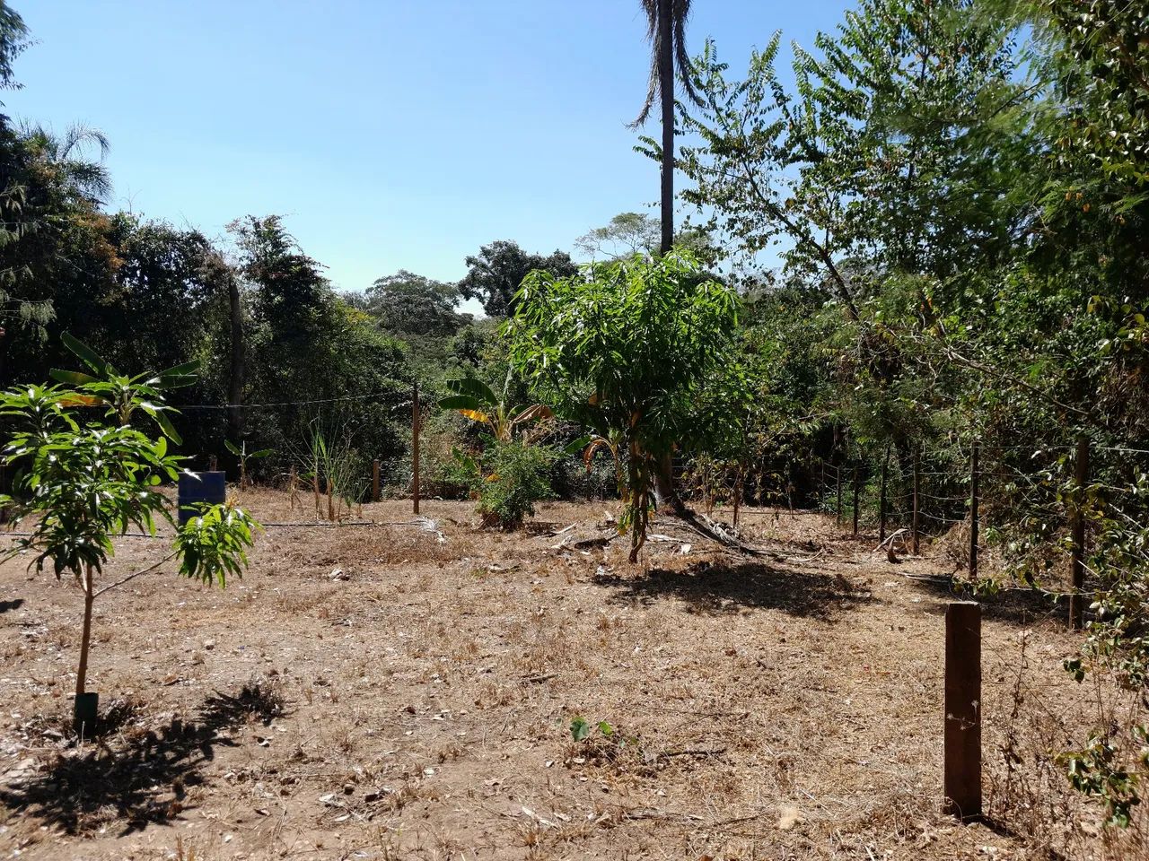 Chácara as margens do rio verdinho - Foto 3