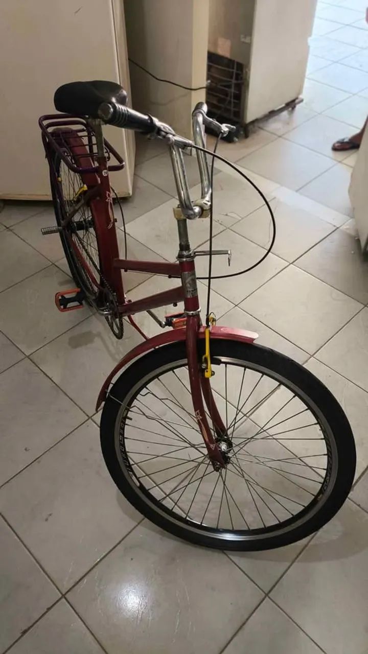 Bicicleta Estilo Poti - Foto 5