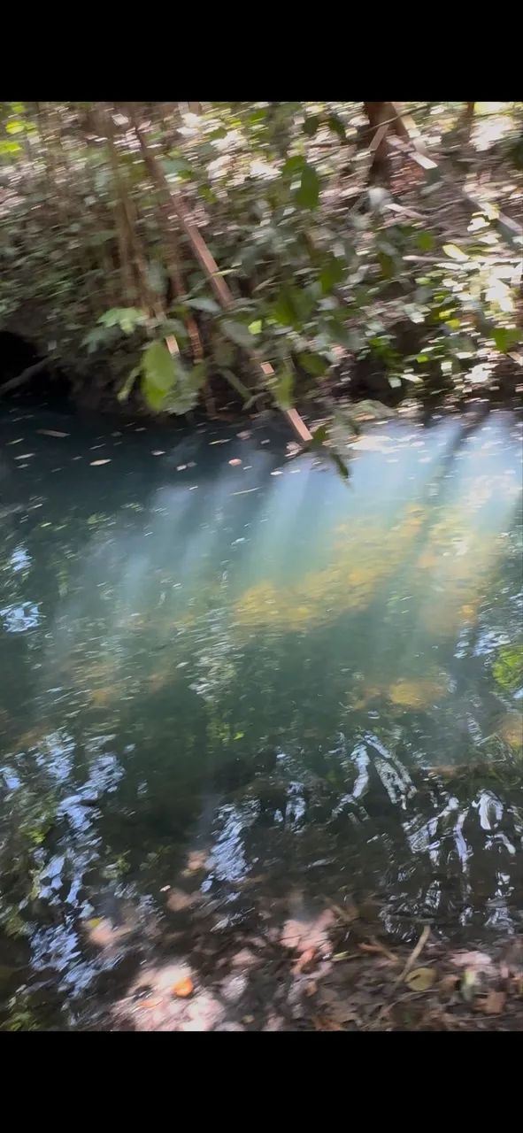 Oportunidade chácaras de recreio na região do Cantá - Foto 3