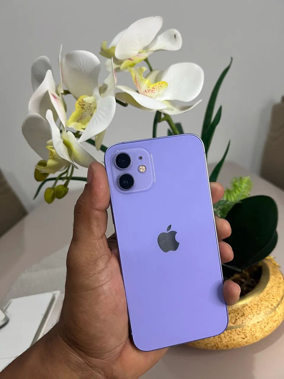 iPhone 12 