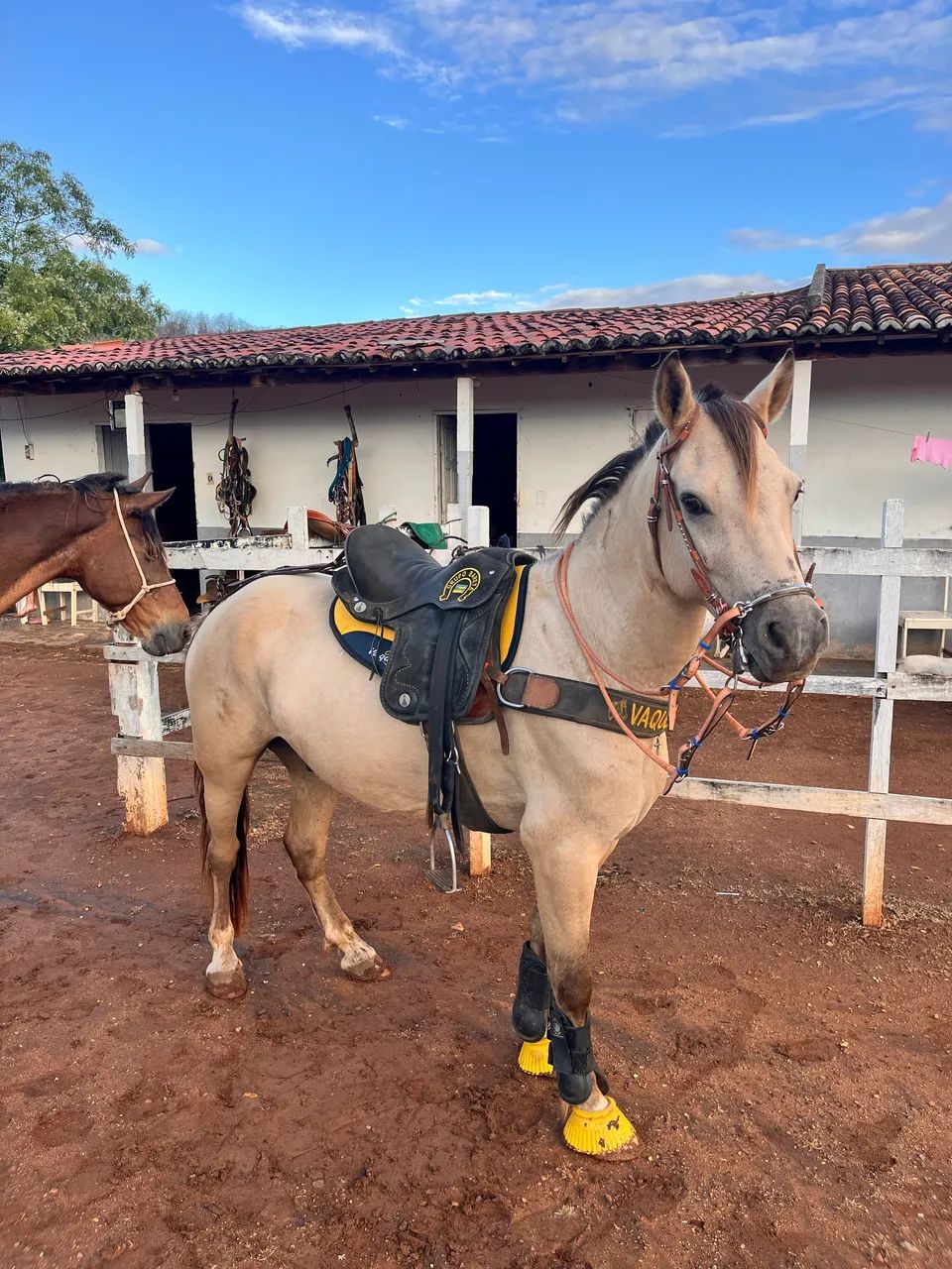 Piquira a venda  - Foto 4