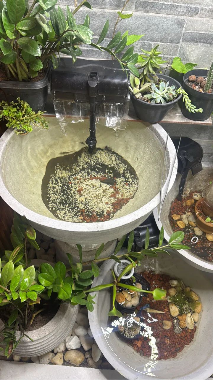 Filtros Hang-On SunSun HBL-501 e HBL-701 - Funcionando Perfeitamente Aquarios e lagos  - Foto 2