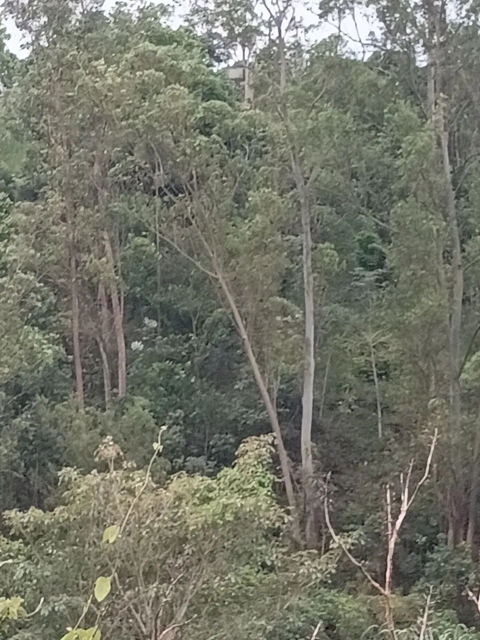 Jardinagem 
