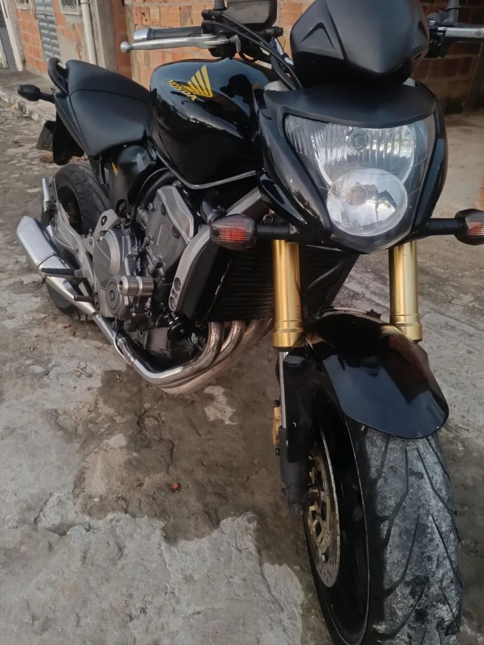 Hornet 600f - Foto 4