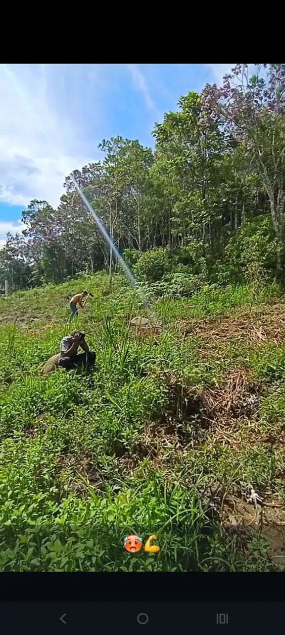 Foto - São Vicente - Catiapoa