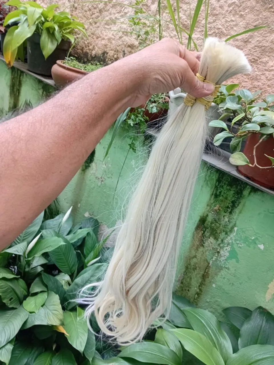 Cabelo brasileiro do sul