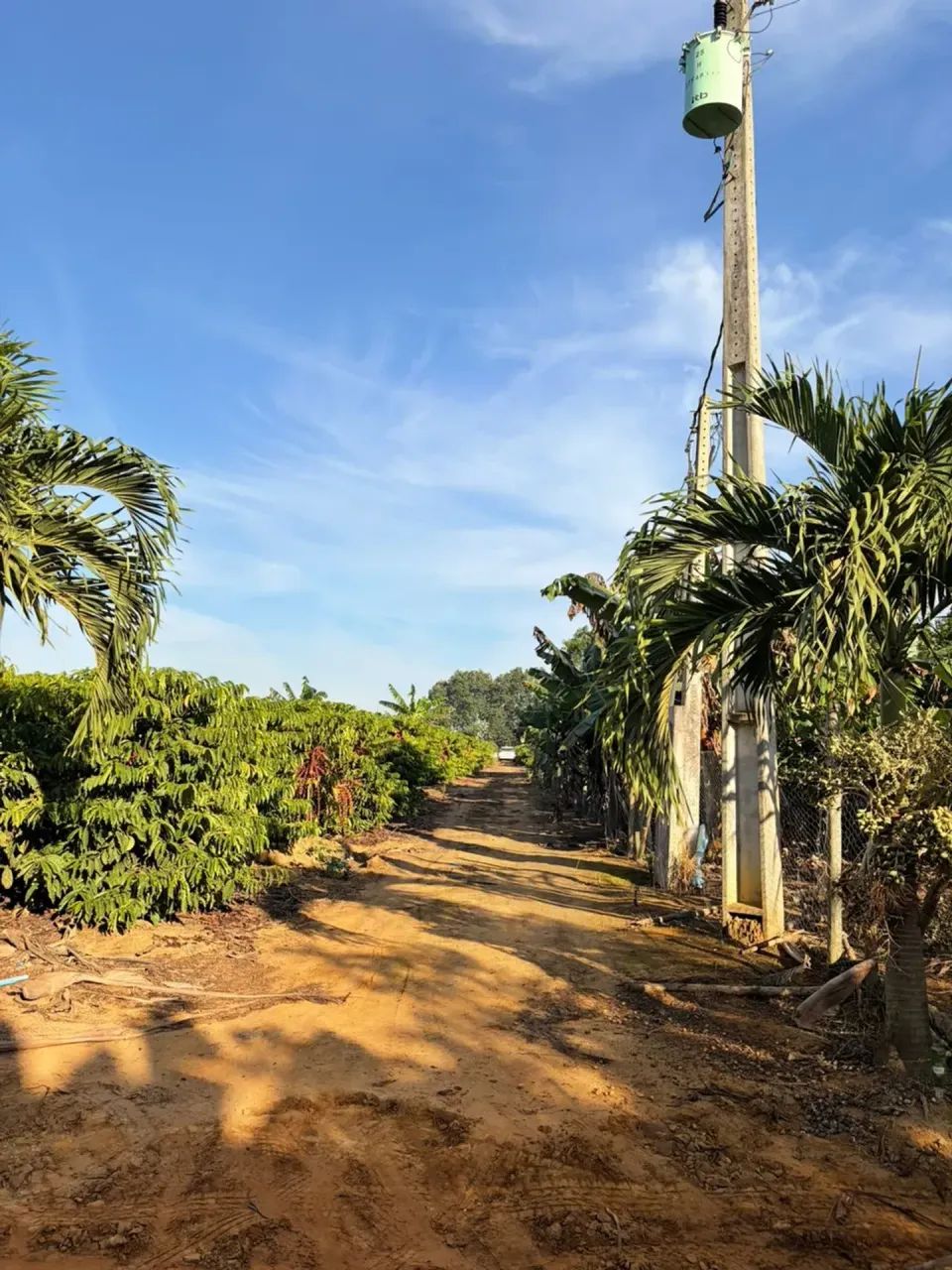 CHÁCARAS - 150 MIL: COM 1.500M², ENERGIA, ÁGUA E PORTÃO ELETRÔNICO. - Foto 5