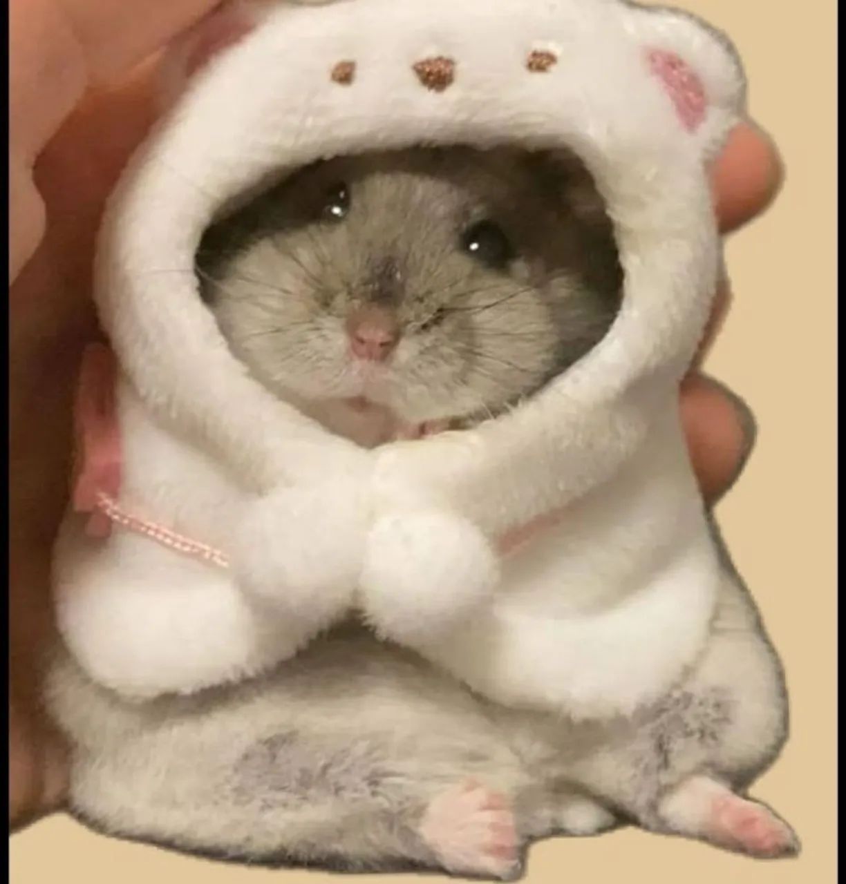 Filhotes de Hamster - Foto 4