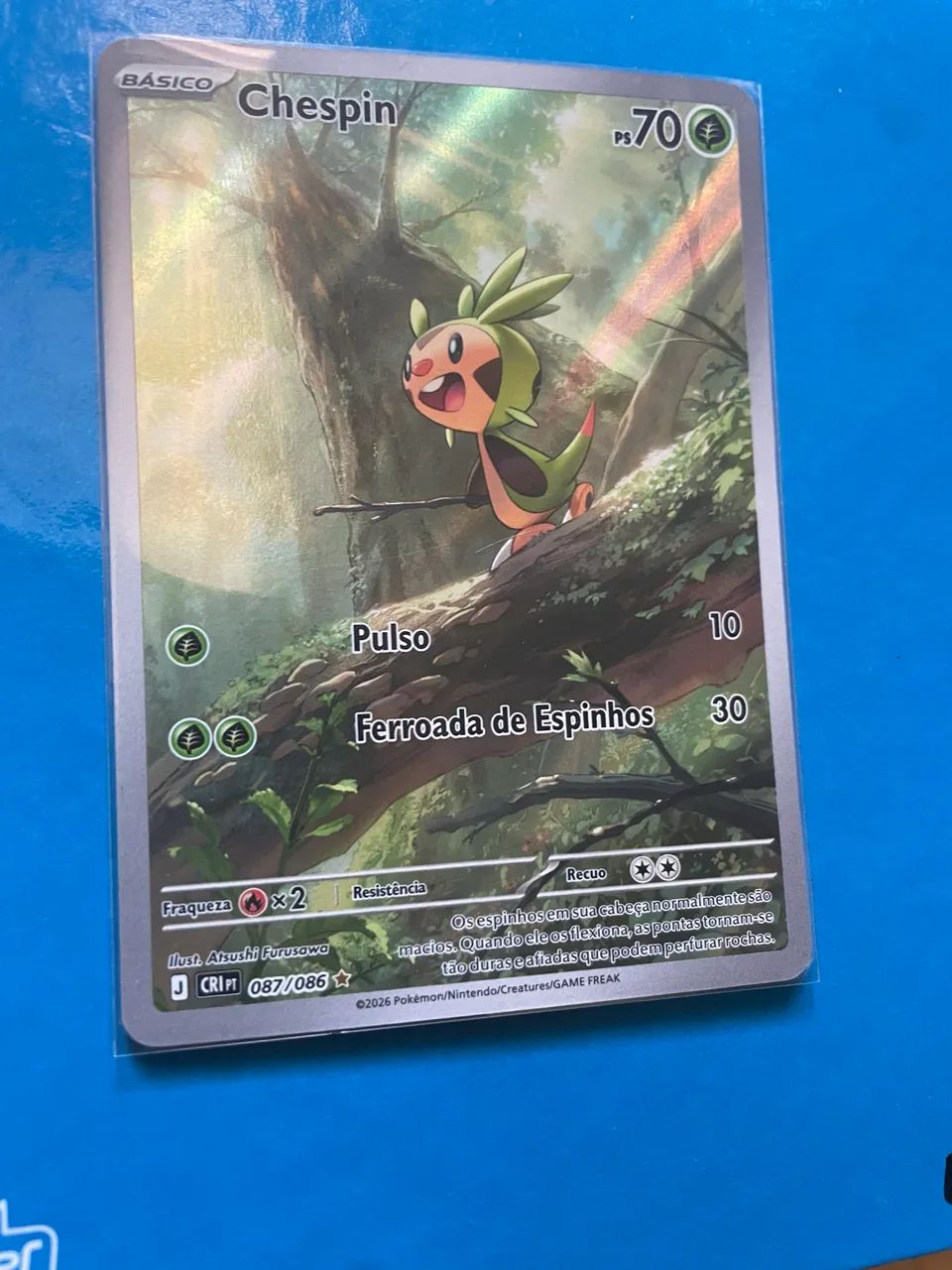 Carta Pokémon 