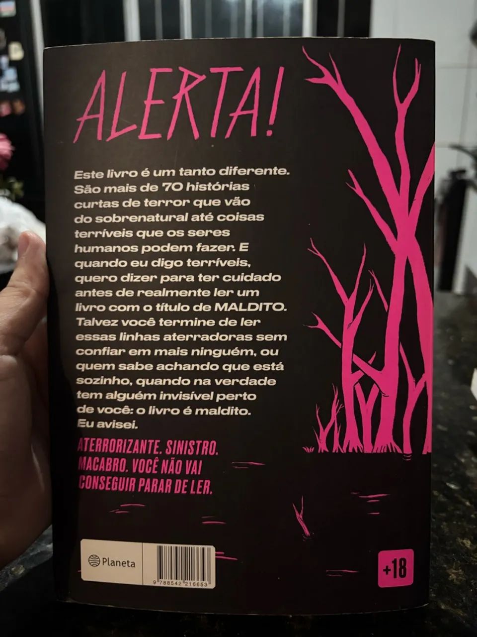 O livro maldito  - Foto 2