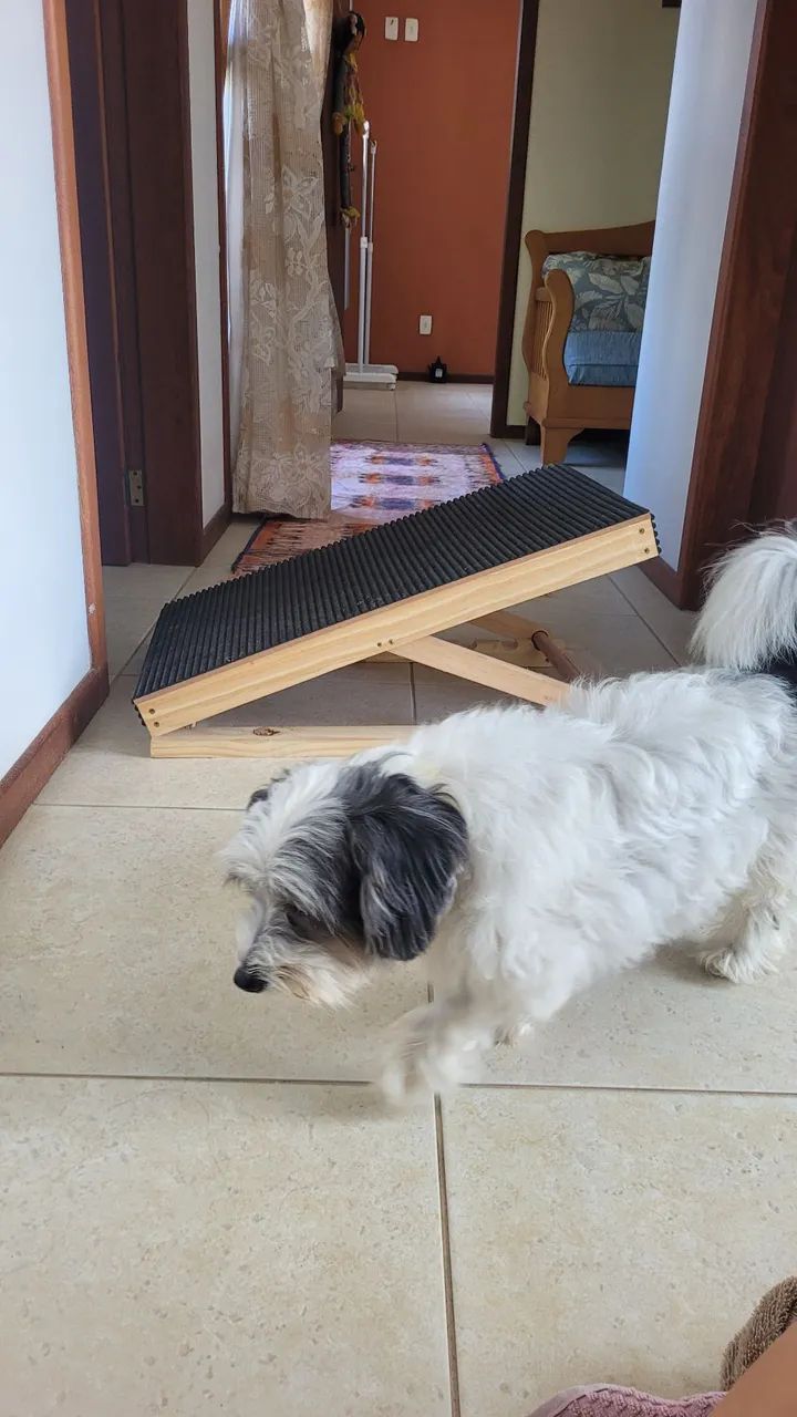 Rampa para pet - Foto 3