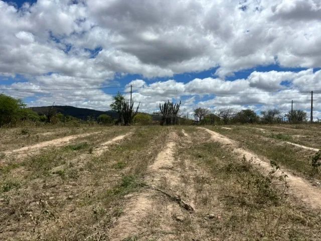 Vendo Terreno de 3385m² - Bezerros - Foto 4