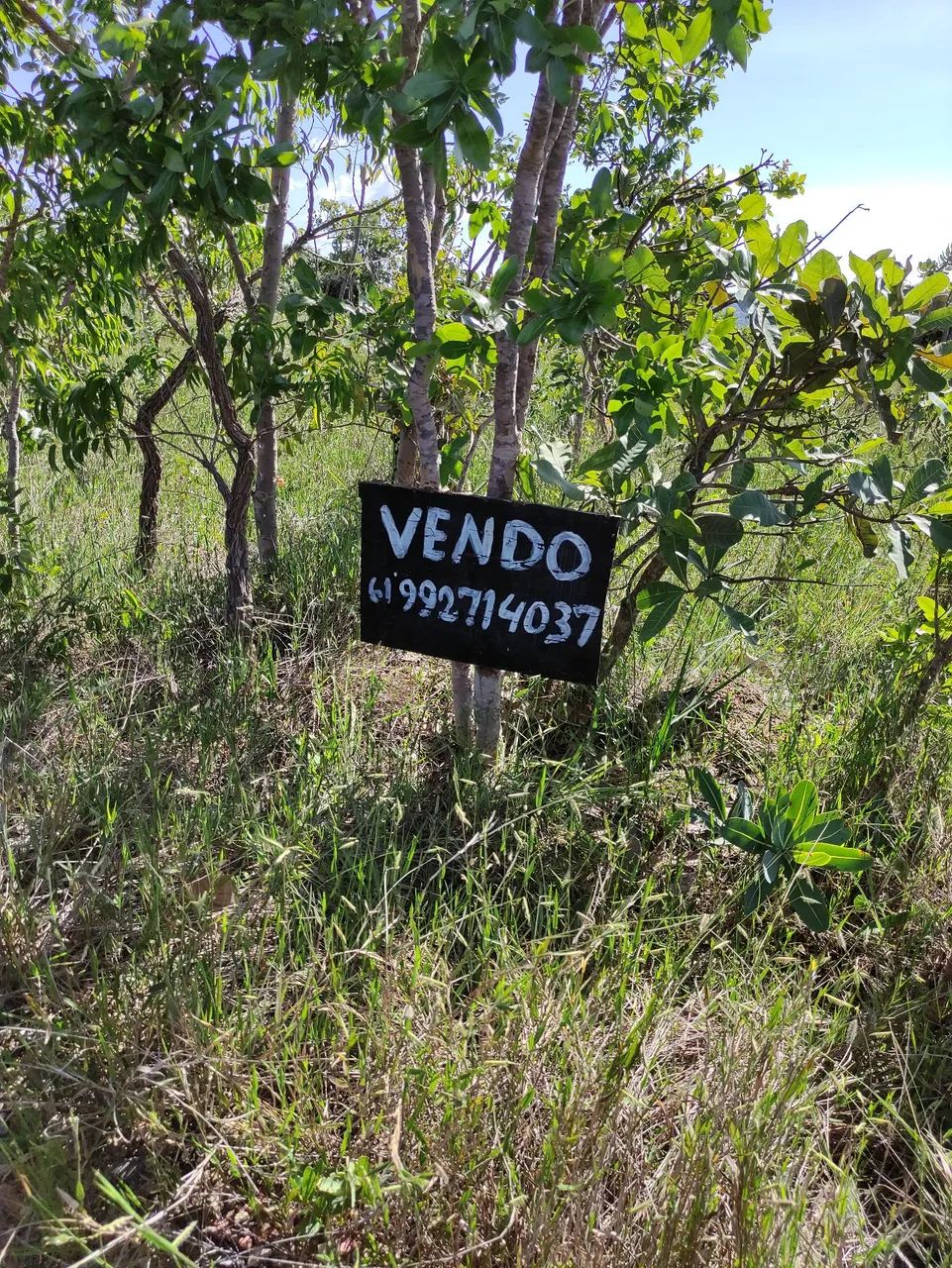 Oportunidade lote grande - Foto 4