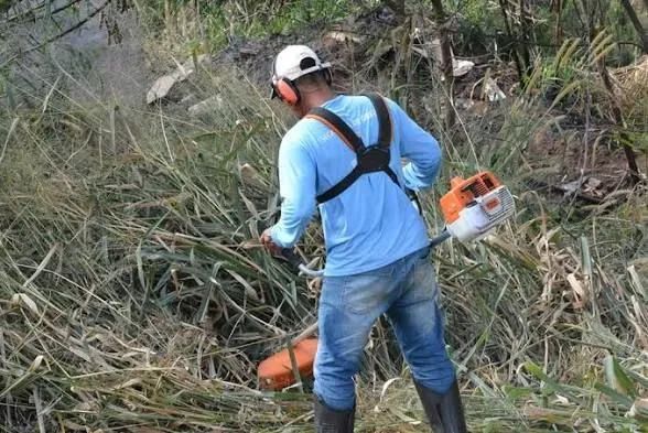Limpeza de terreno e quintal $80