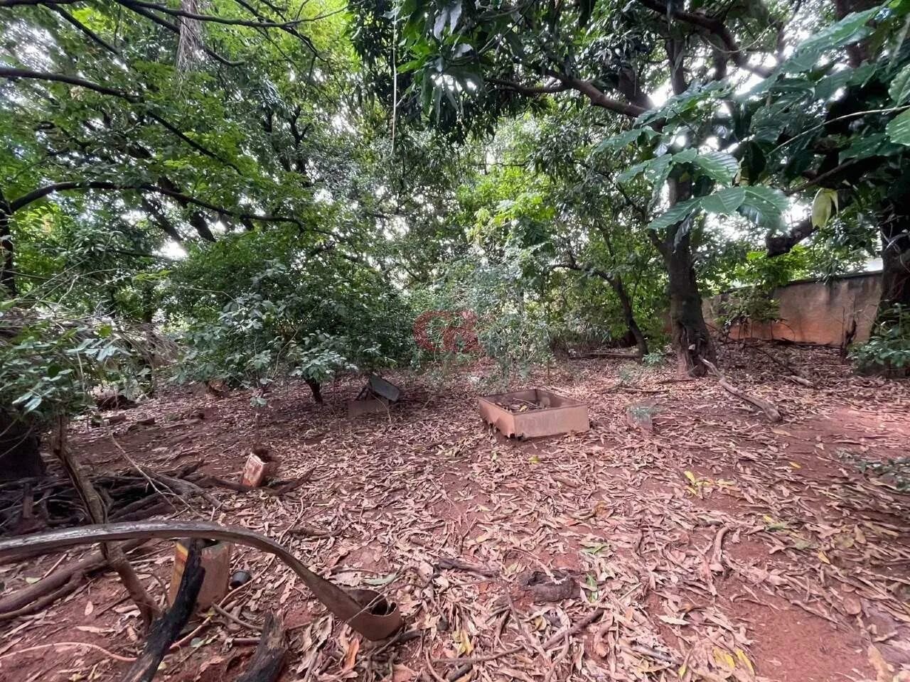 Lote à venda, Cinquentenário - Belo Horizonte/MG - Foto 3