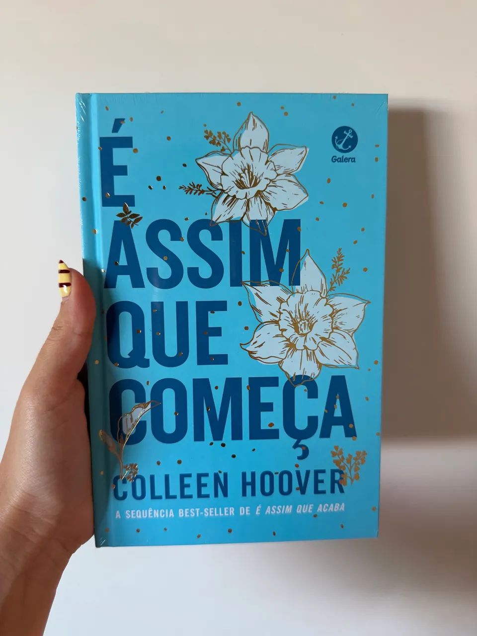 Livro É assim que começa 