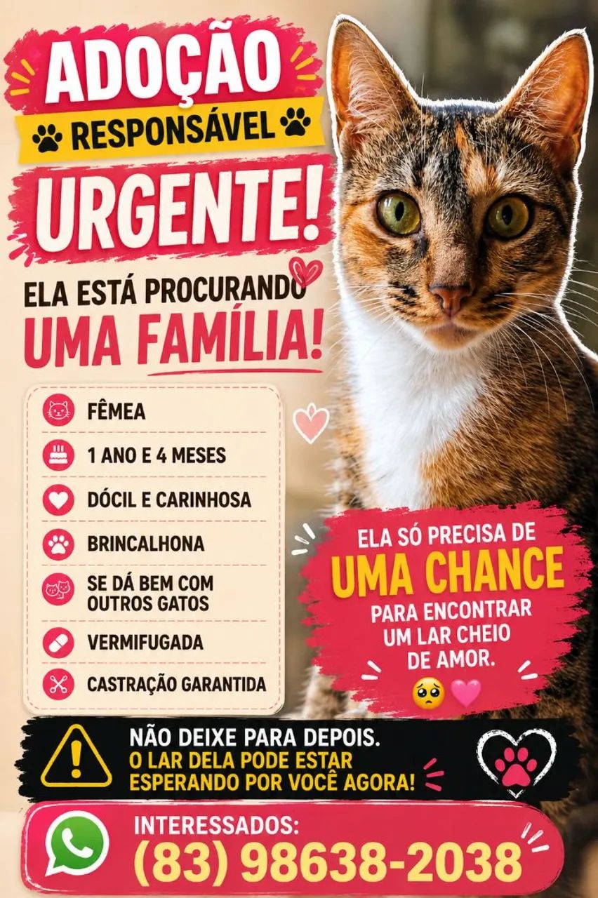 ADOÇÃO RESPONSÁVEL URGENTE
