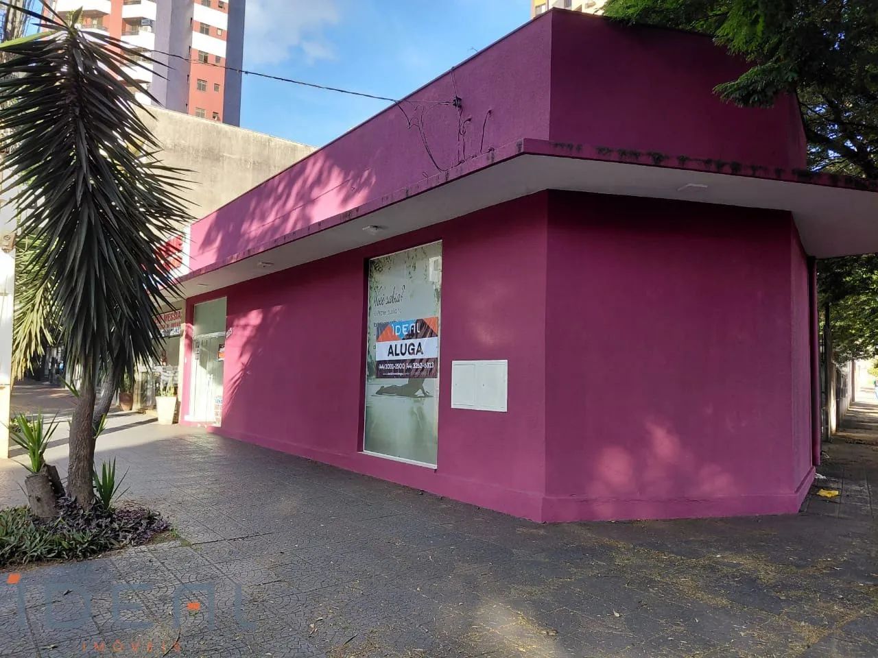 Sala para alugar no bairro Zona 07 - Maringá/PR - Foto 2