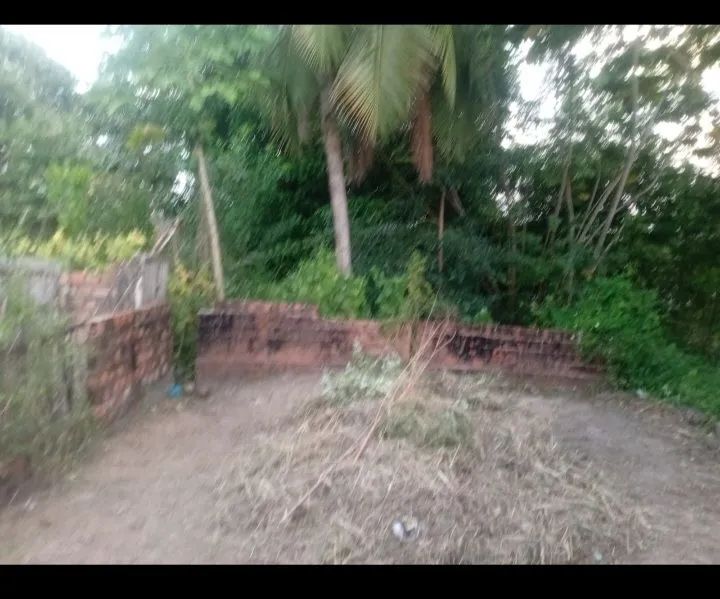 VENDA DE UMA MEIA CASA - Foto 3