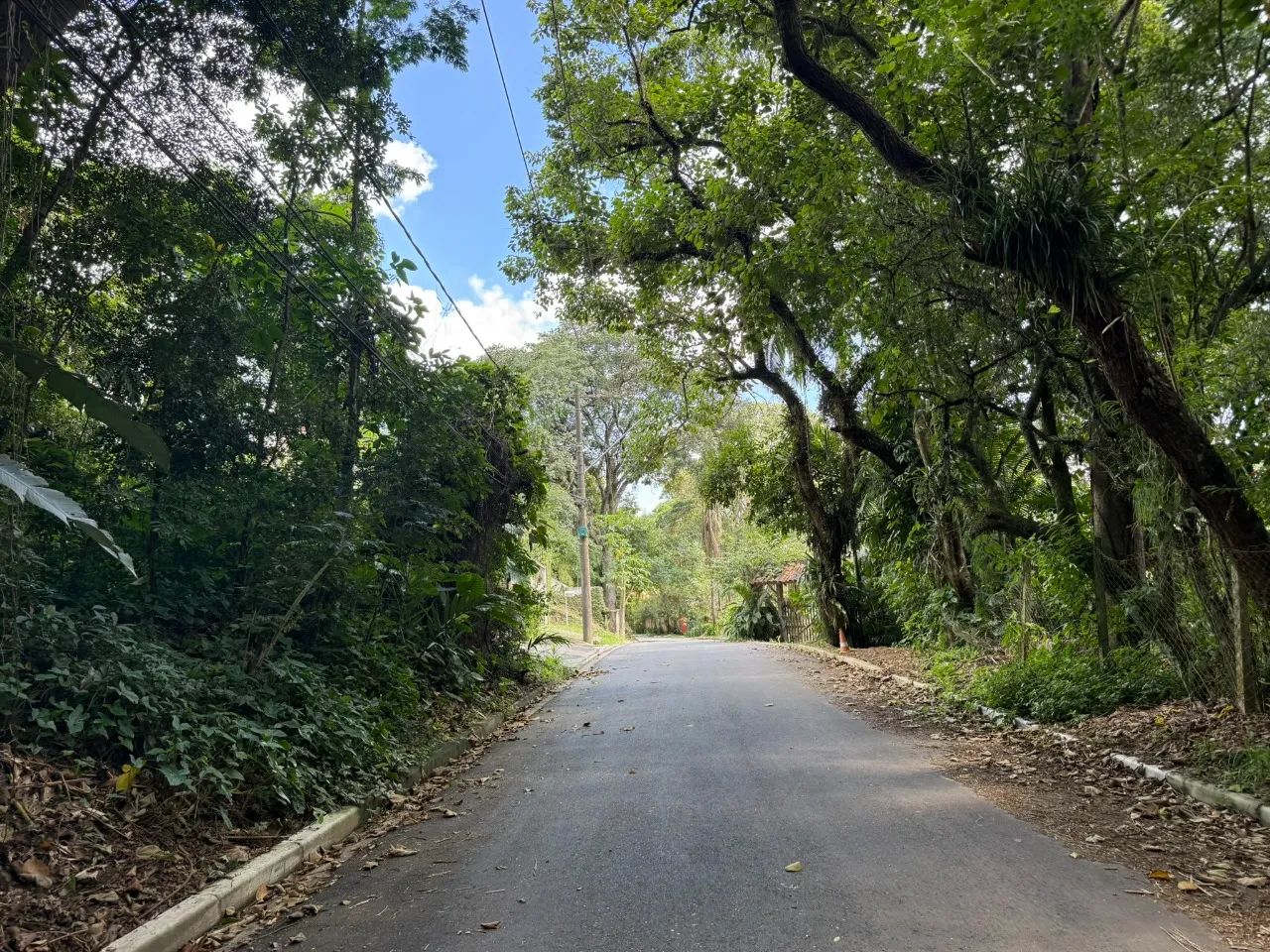 Terreno à venda no condomínio Vila Diva - Foto 2