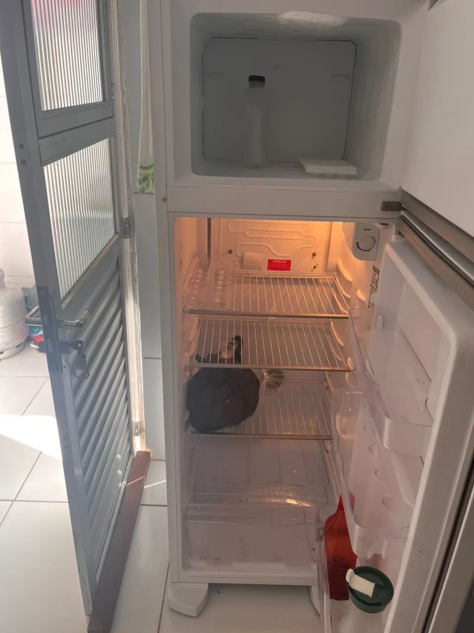 Geladeira Electrolux Defrost 260L  Duplex Branca - Foto 5