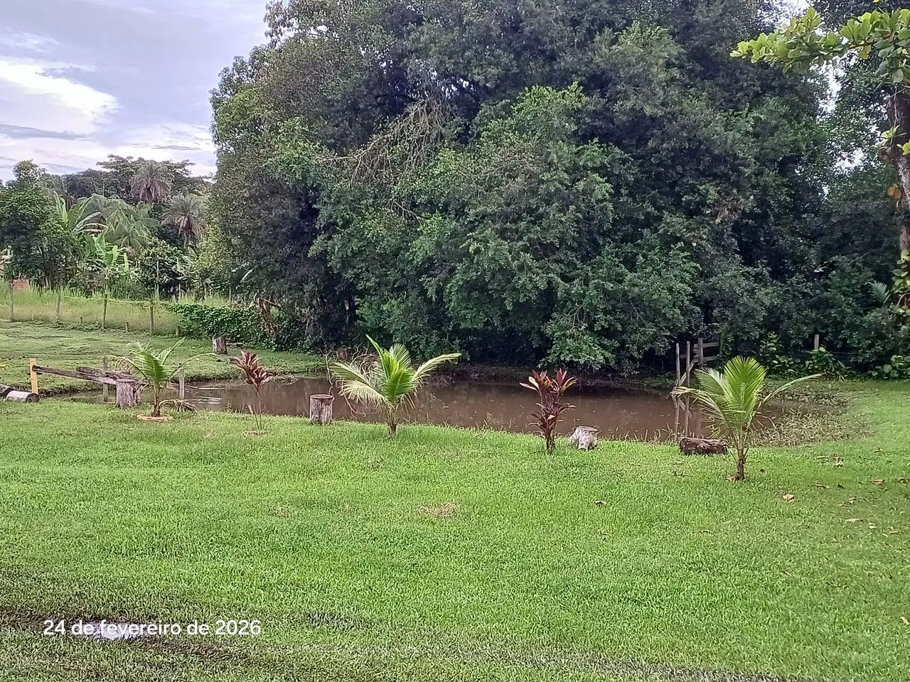 Vendo mini sítio em Jd Anápolis  - Foto 4