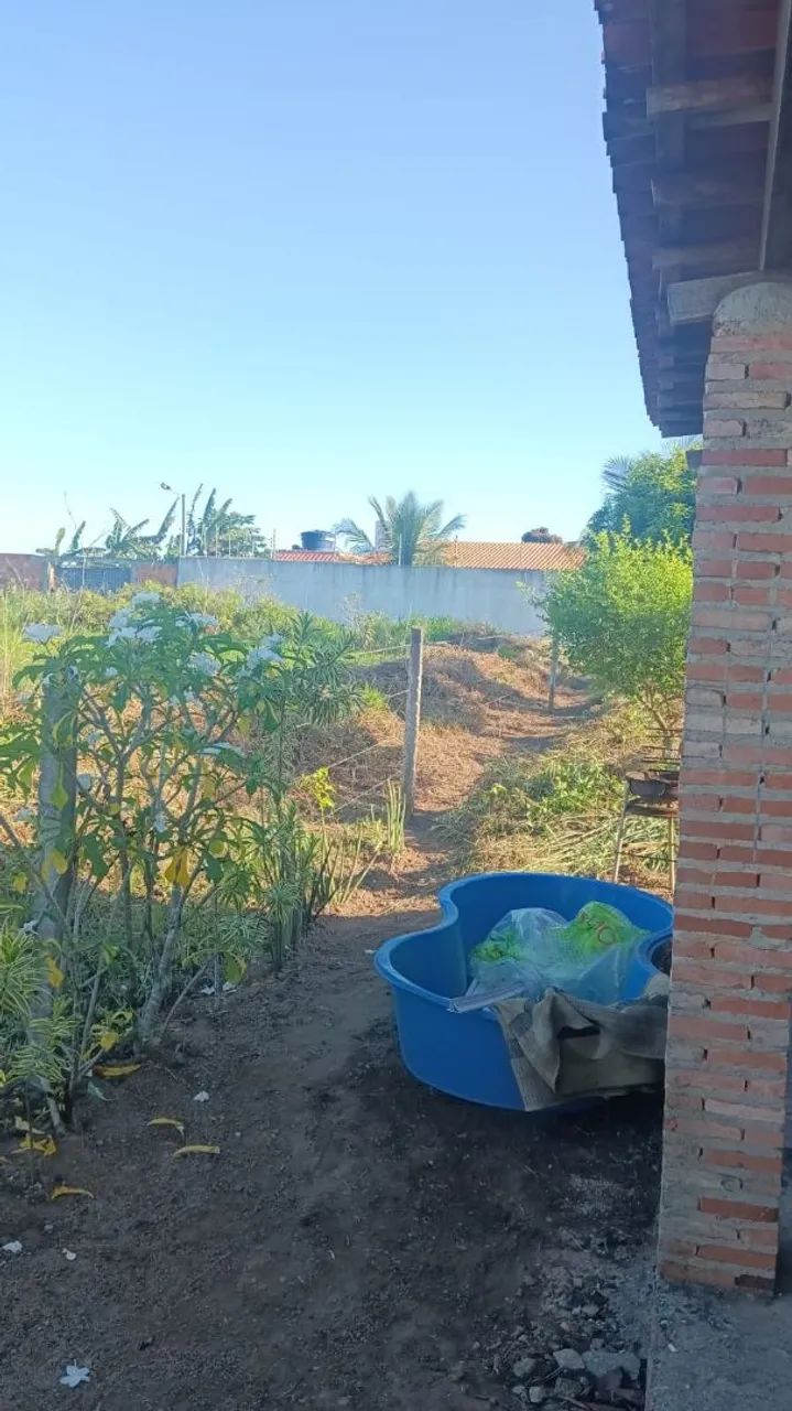 Vende-se uma casa com fruteiras colocando.