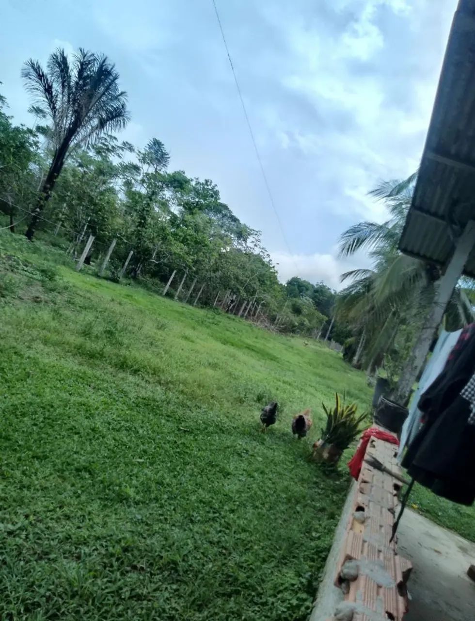 Vendo terreno 