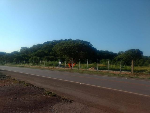 Loteamento Anel Viário Corumbá MS - Foto 4