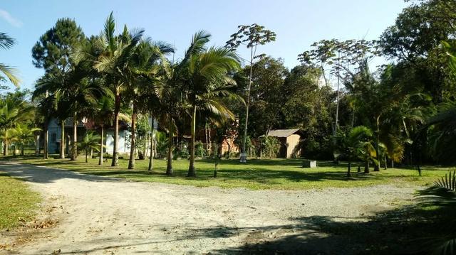Terreno no linguado - Foto 5