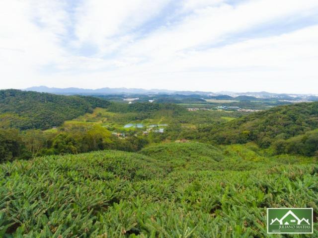 0361 Excelente área rural no Bairro Vila Nova - Foto 13