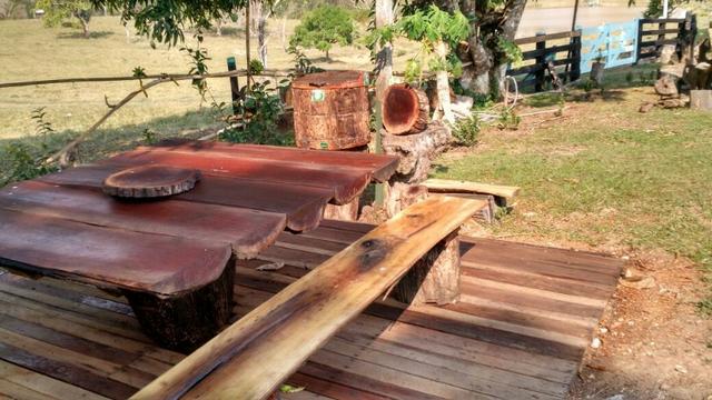 Fazenda Próxima de Rio Branco - Foto 12