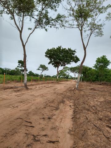 Lotes - Foto 9