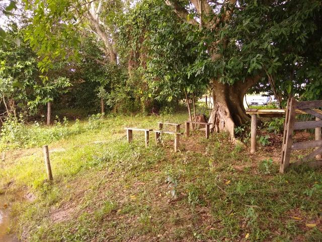 Fazenda a Venda - Foto 12