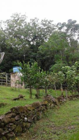 Sítio em gramado, linha tapera, 5 hectares - Foto 5