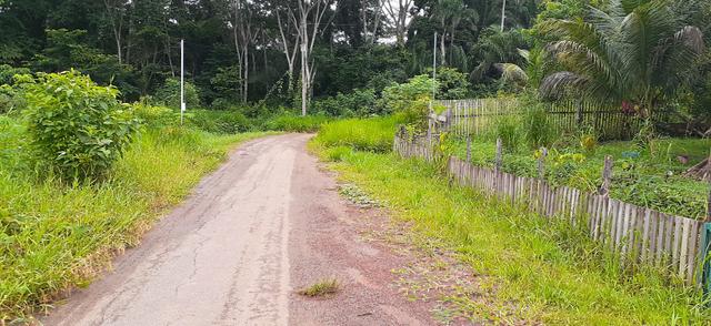 Vendo essa casa 46x 32 localizada na villa cusrodio Freire - Foto 5
