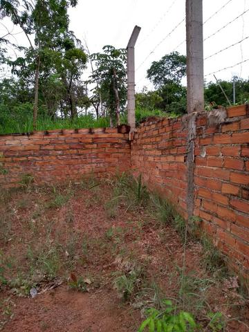 Chacara a venda 2,700 mt coleção de frutas mais de 200 especis dentro da cidade - Foto 7