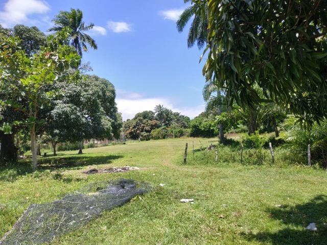 Terreno na ilha de Catu de Berlinque a partir de 7.000,00 - Foto 19