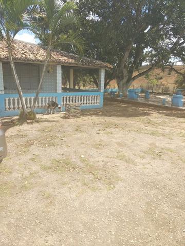 Vendo Área com 72 tarefas Município de São Cristovão - Foto 3