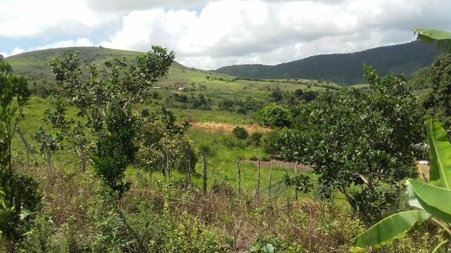 Sítio dos sonhos seu pedaço do Paraíso com 7 hectares por 150 mil - Foto 2