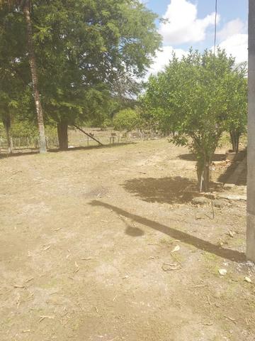 Vendo Área com 72 tarefas Município de São Cristovão - Foto 5