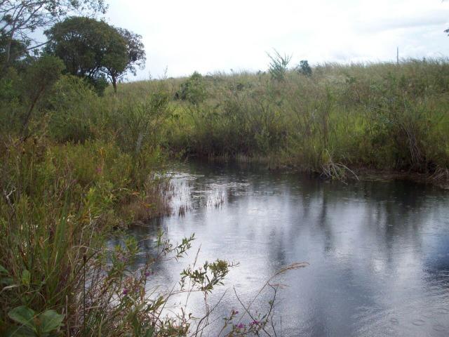 Cód. 5284 - Sítio em Cocalzinho de Goiás - Foto 14