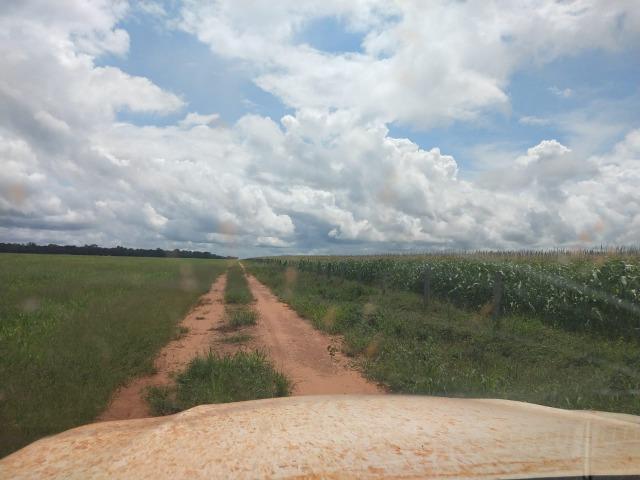 2.400 Há em Lavoura. S.J Xingu-MT - Foto 9