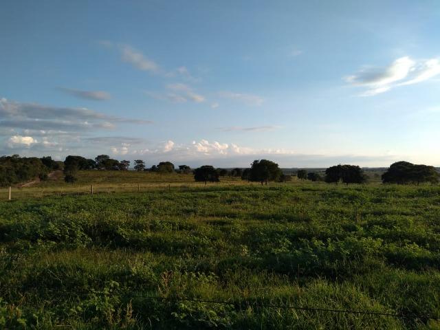 2.253 Há. Alto Garças-MT (Plana ao Lado Lavoura) - Foto 6