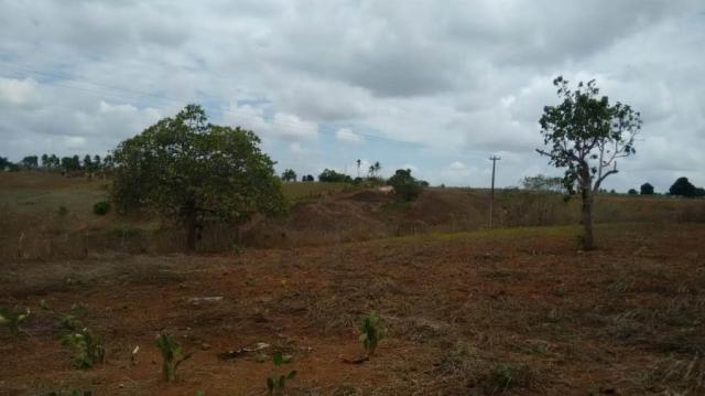 Sítio para venda em lagoa do itaenga, lagoa de itaenga - Foto 12