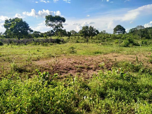 Fazenda